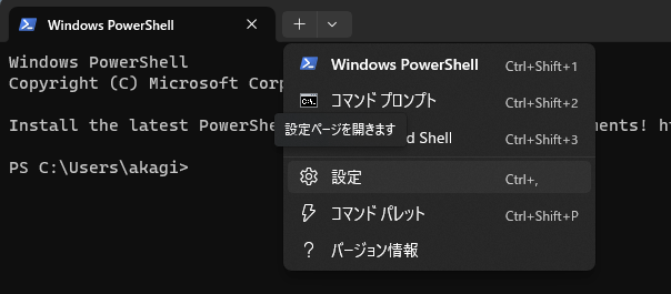 Screenshot Terminal