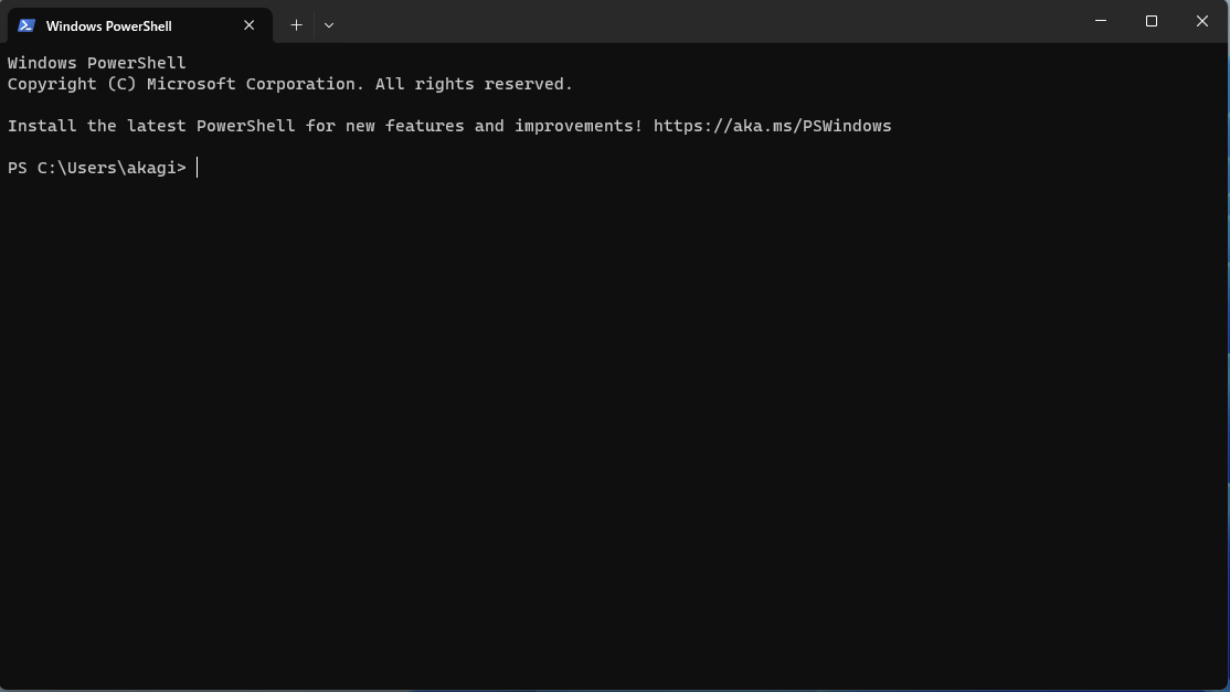 Screenshot Terminal