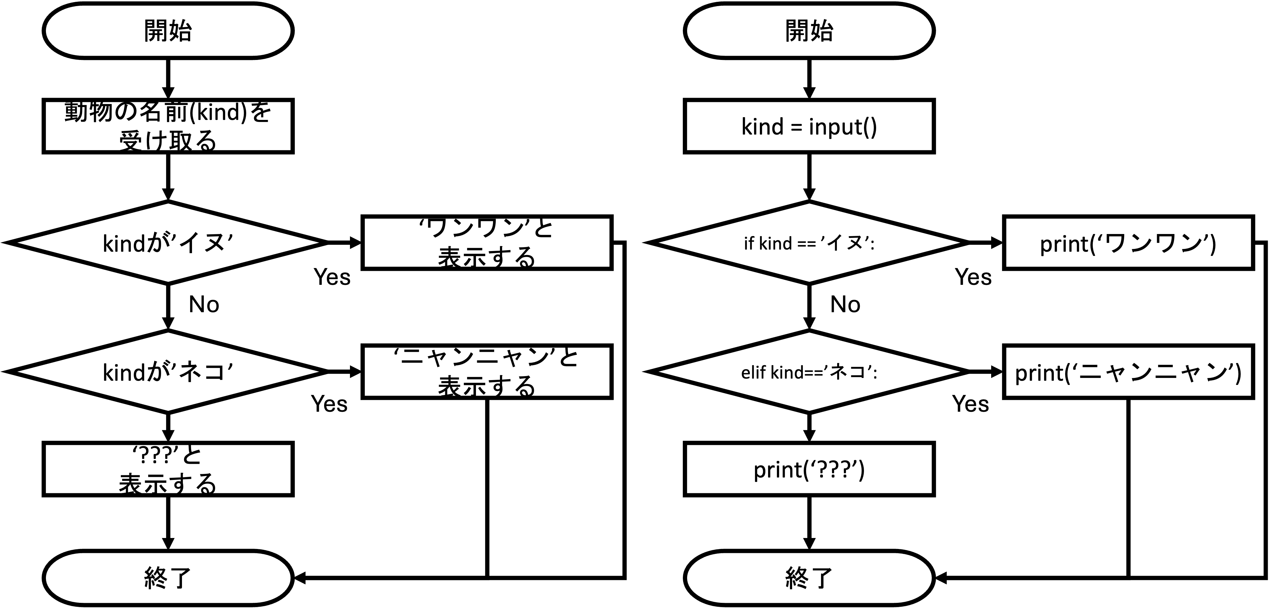 動物の名前