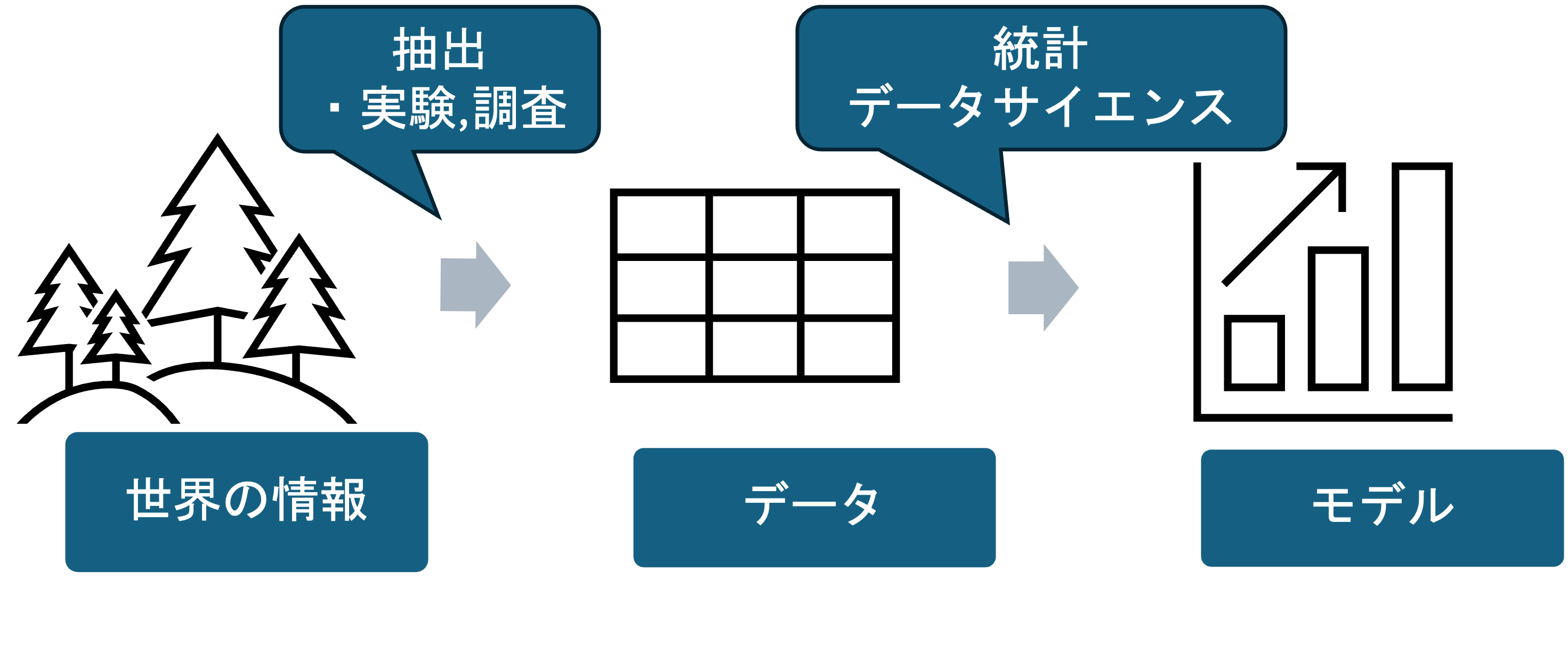 情報の抽出