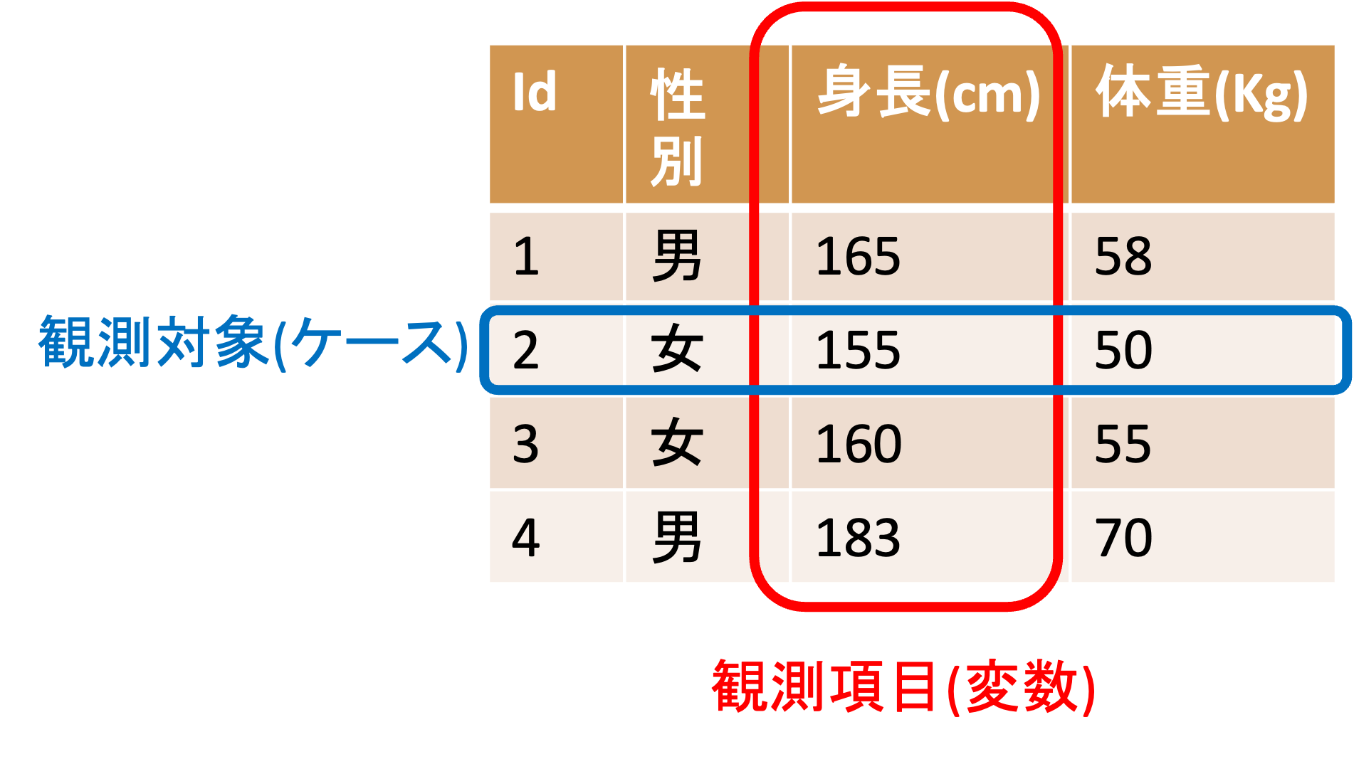 観測対象と観測項目