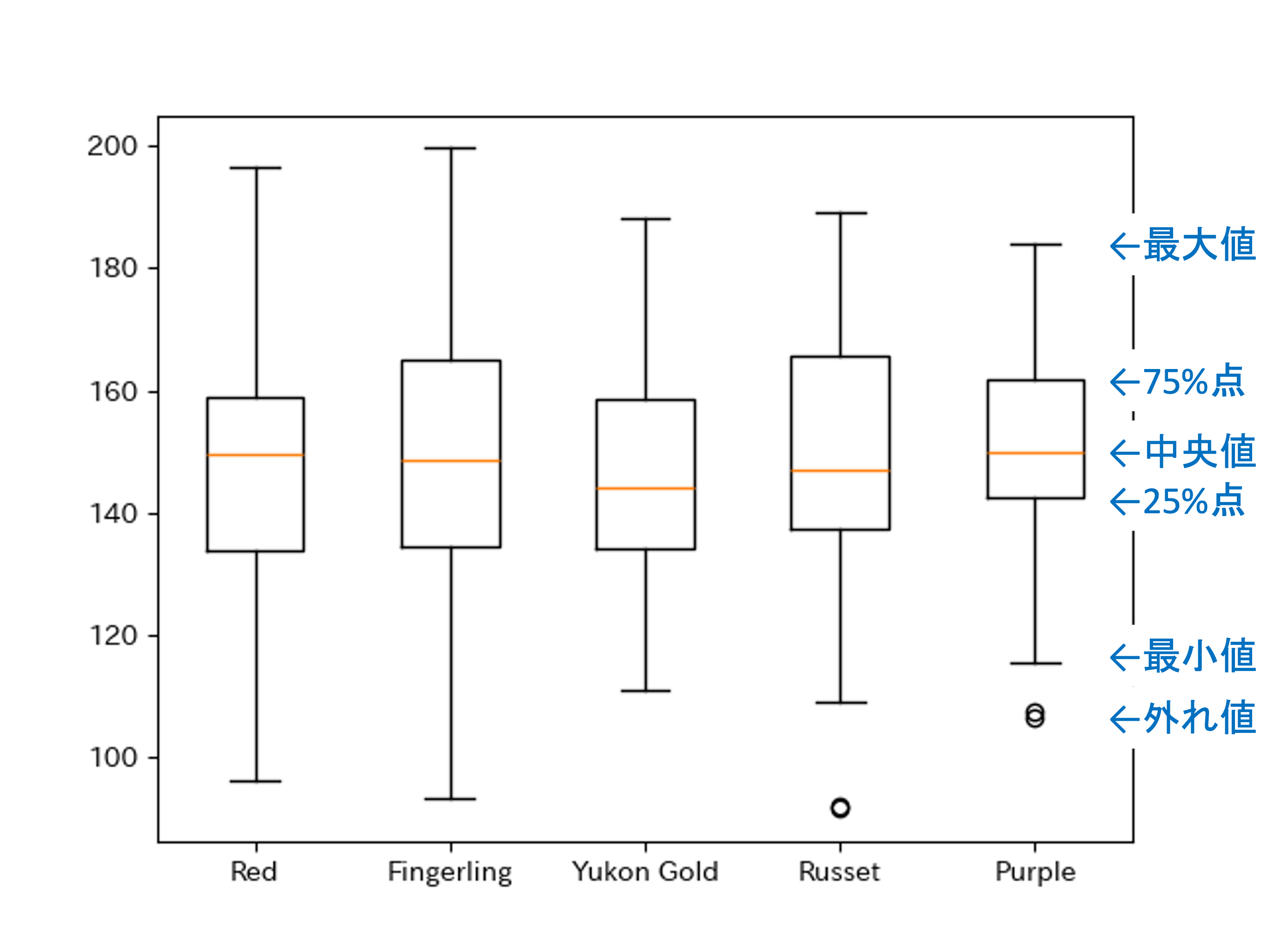 馬鈴薯の重さの箱ひげ図